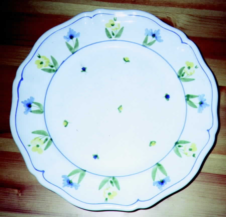 ITY65 Dinner Plate by Italy-1