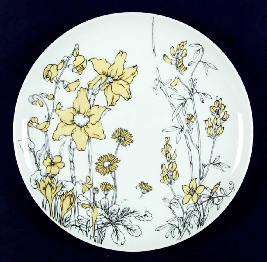 Vanity Fair Dinner Plate by International-1