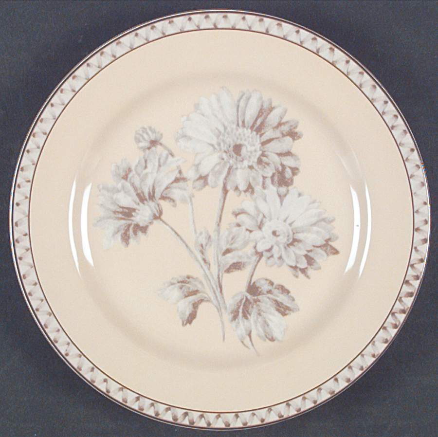 Somerville Salad Plate by Interiors (PTS)-1