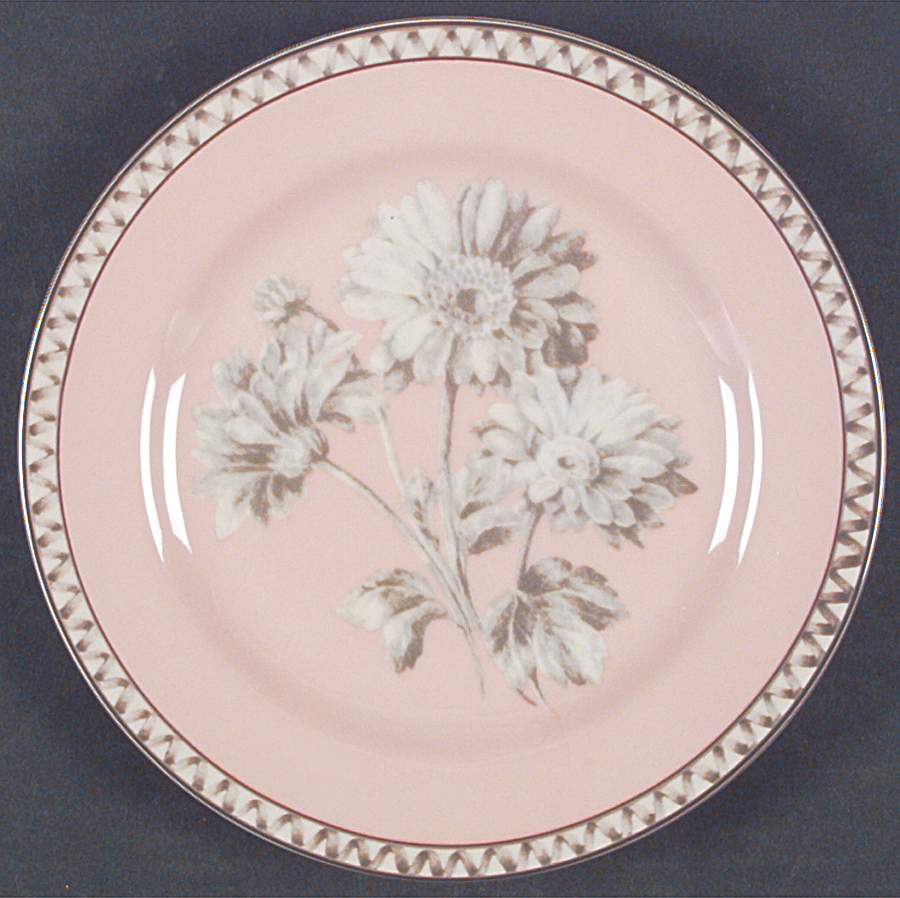 Somerville Salad Plate by Interiors (PTS)-1