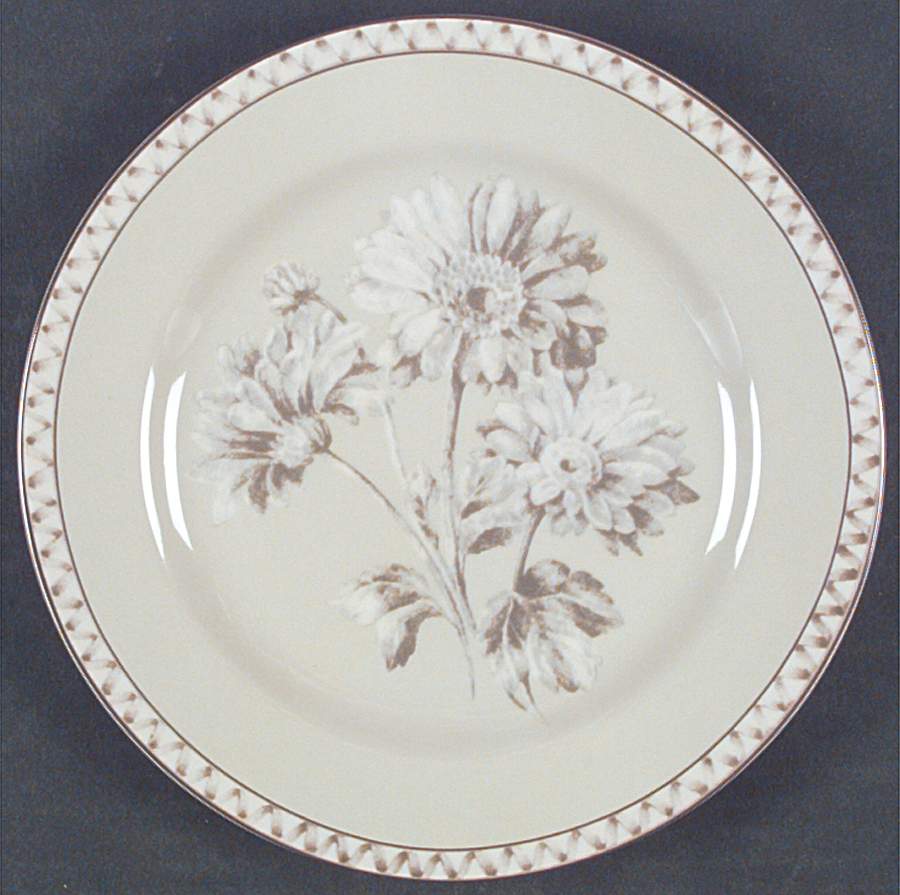 Somerville Salad Plate by Interiors (PTS)-1