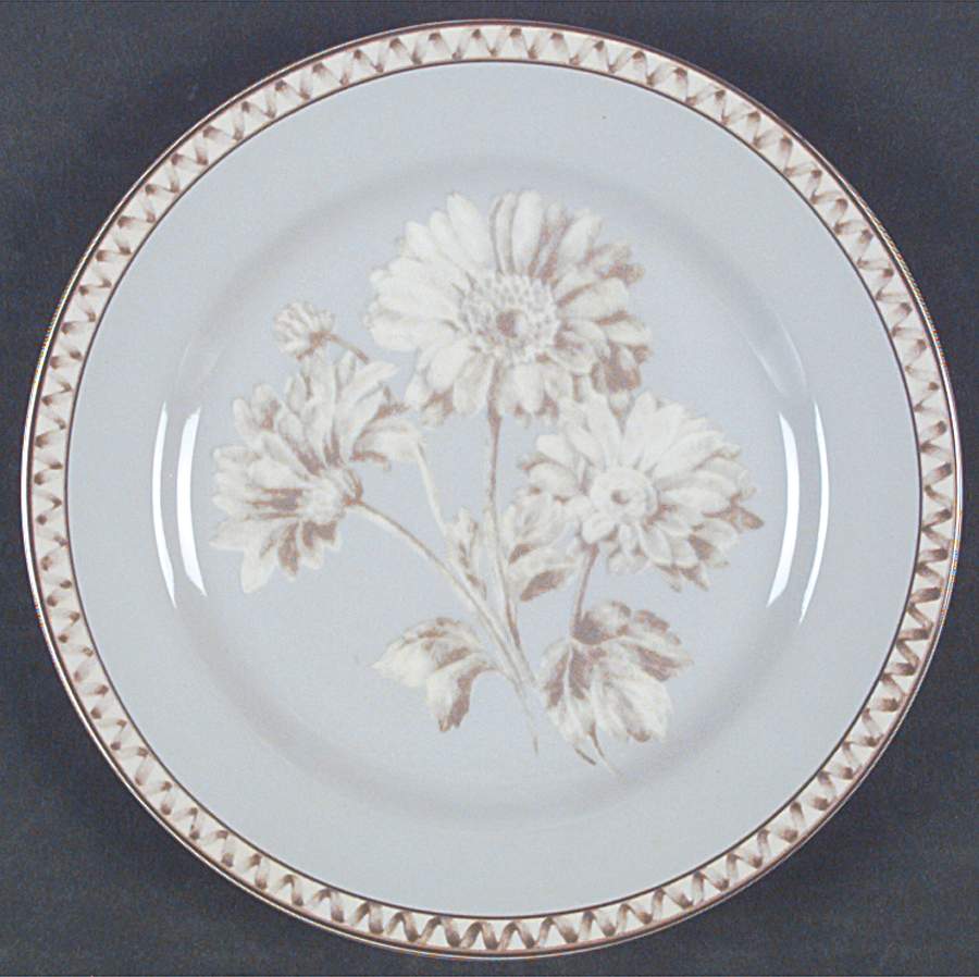 Somerville Salad Plate by Interiors (PTS)-1