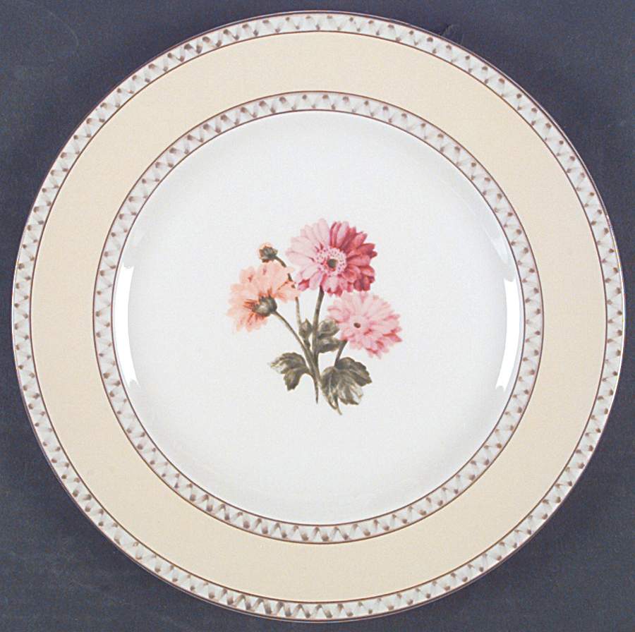Somerville Dinner Plate by Interiors (PTS)-1