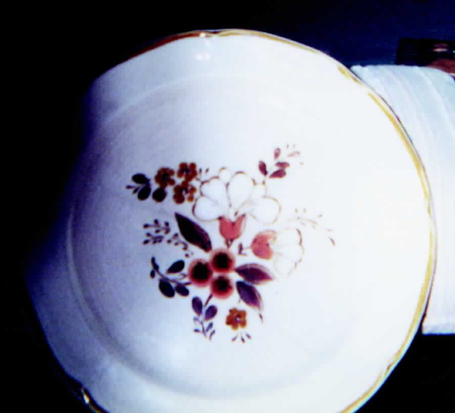 Sarah Ginger Creek Dinner Plate by International-1
