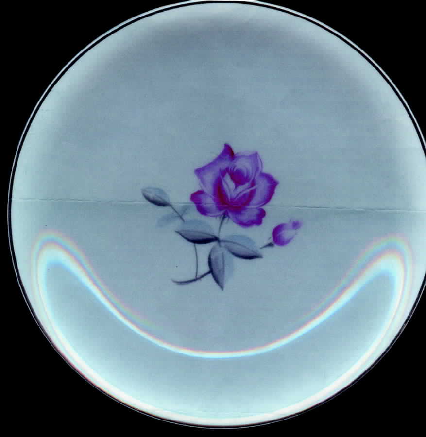 ICJ8 Salad Plate by I China (Japan)-1