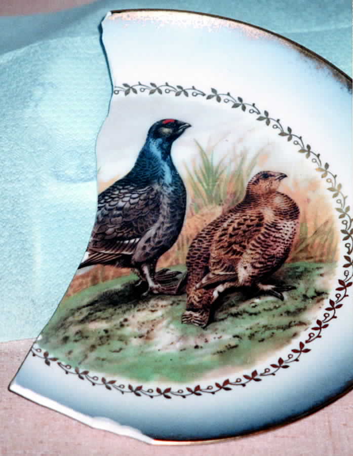 IME3 Salad Plate by Imperial (Bavaria)-1