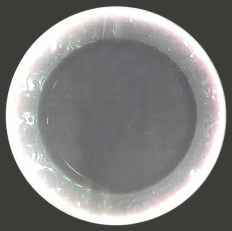 ITY101 Dinner Plate by Italy-1