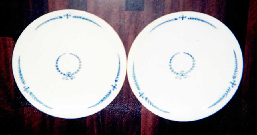 ILL5 Dinner Plate by Illinois China -1