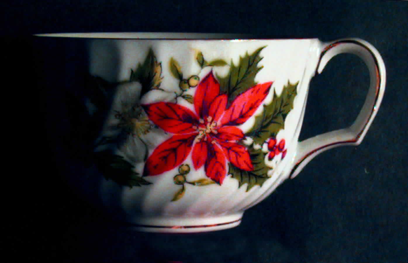 INA3 Flat Cup by Inarco (Japan)-1