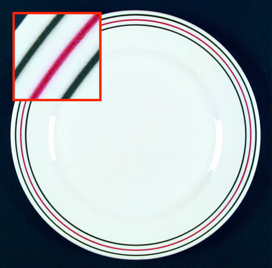 IRO19 Dinner Plate by Iroquois-1