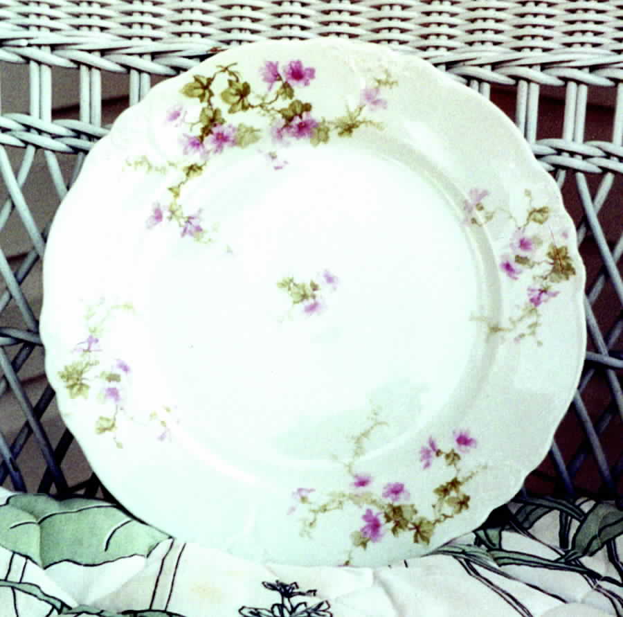 IRO20 Dinner Plate by Iroquois-1