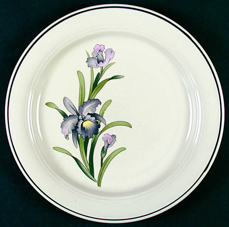 Iris Lane Dinner Plate by International-1