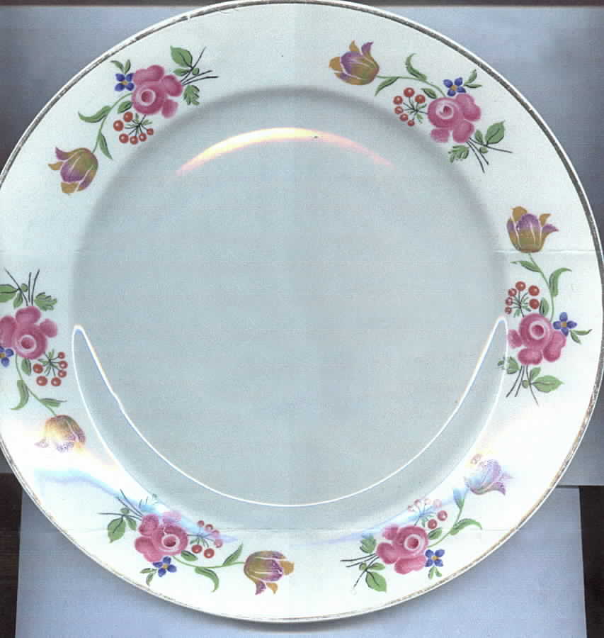ILL7 Luncheon Plate by Illinois China -1