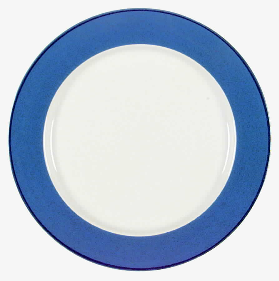 Colors of Celebration Denim Blue Dinner Plate by International-1
