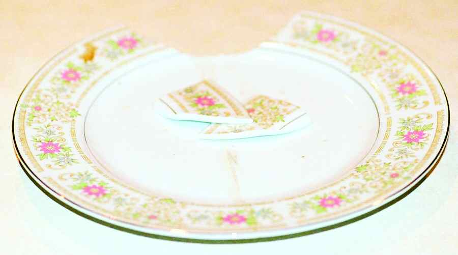 Westminister Dinner Plate by Image Gallery-1