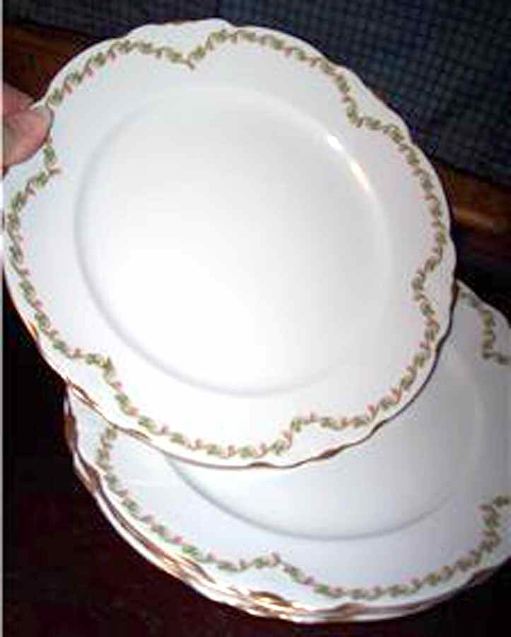 IRO46 Dinner Plate by Iroquois-1
