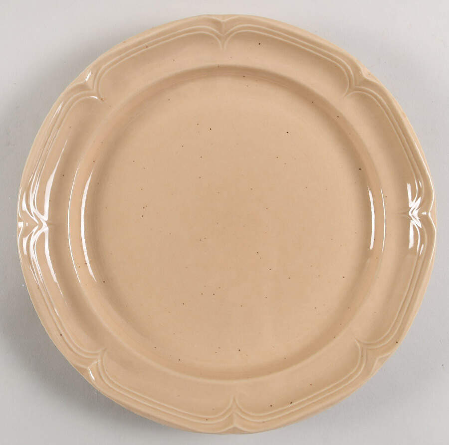 Birch Dinner Plate by International-1