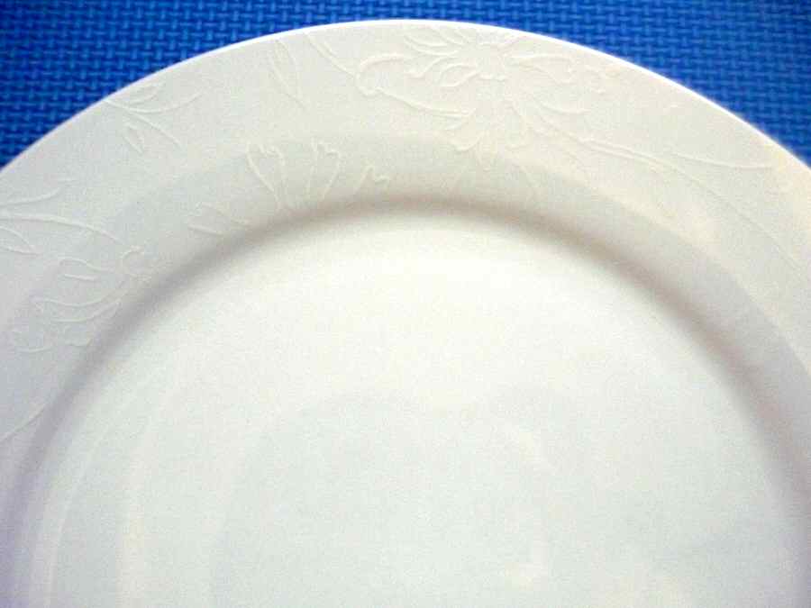 IEC17 Dinner Plate by Inhesion-1