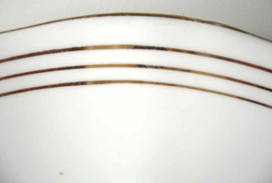 IFC6 Dinner Plate by Imperial Fine China-1