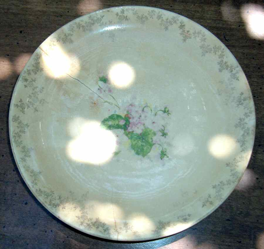 IUS4 Dinner Plate by Imperial China (USA)-1