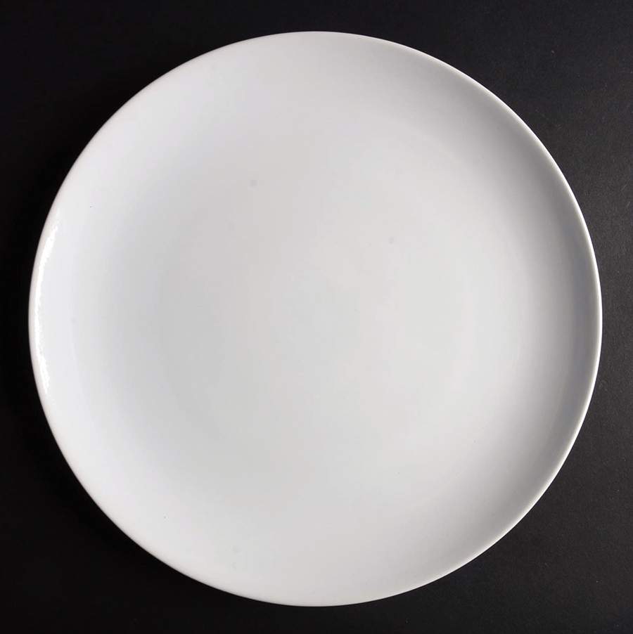 Fargrik White Dinner Plate by Ikea China-1