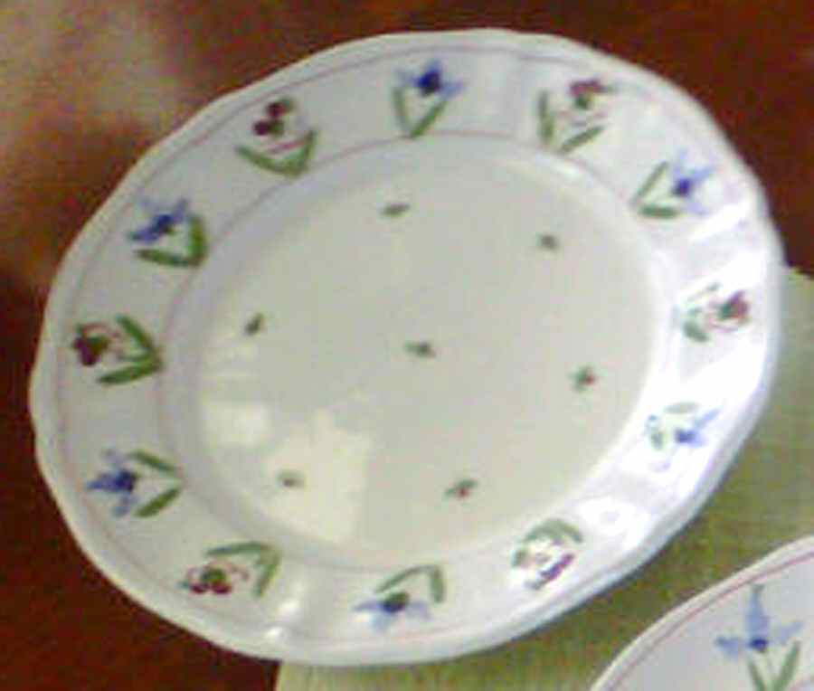 ITY284 Salad Plate by Italy-1