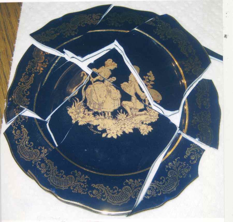 IRL3 Salad Plate by Imperia Limoges-1