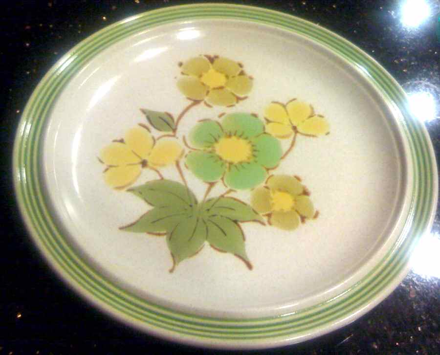 Montego Dinner Plate by International-1