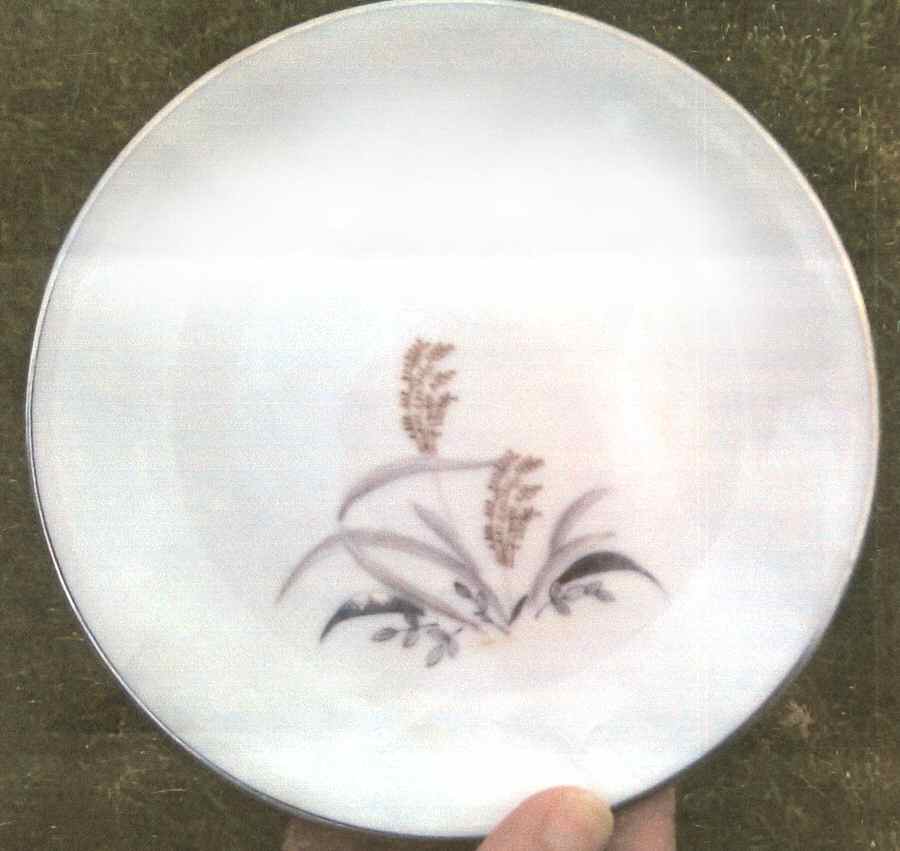A5240 Bread & Butter Plate by I China (Japan)-1