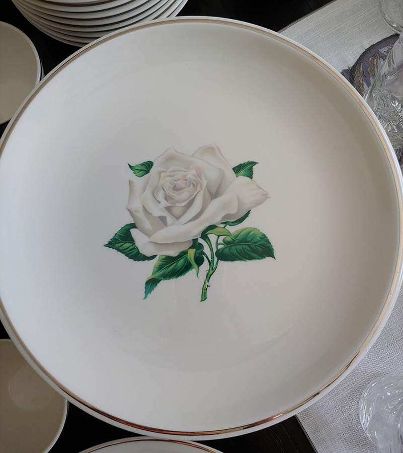 IRO58 Dinner Plate by Iroquois-1