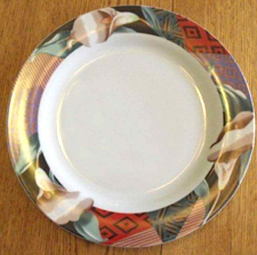 IEC19 Dinner Plate by Inhesion-1