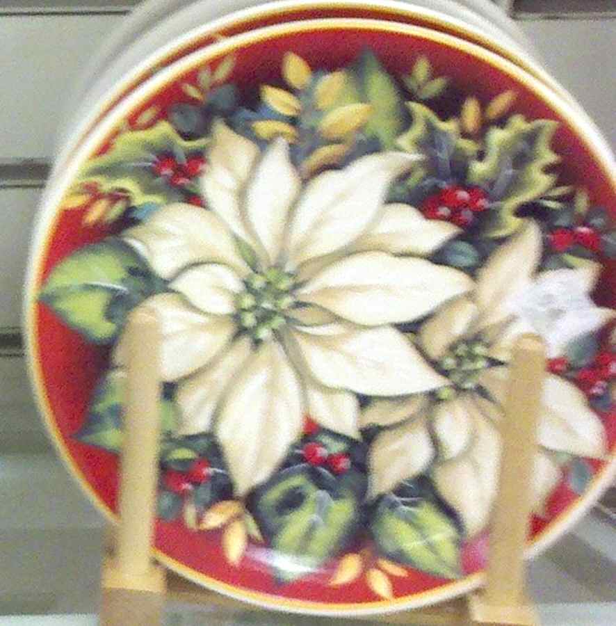 ITY321 Salad Plate by Italy-1