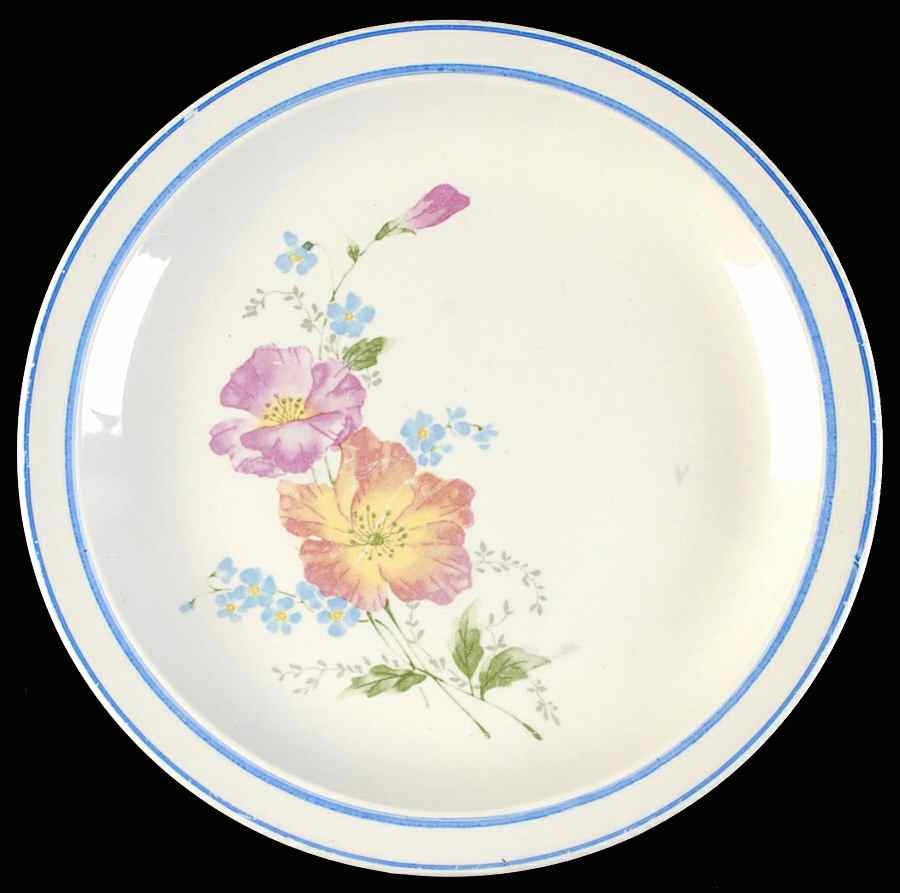 Terrace Dinner Plate by International-1