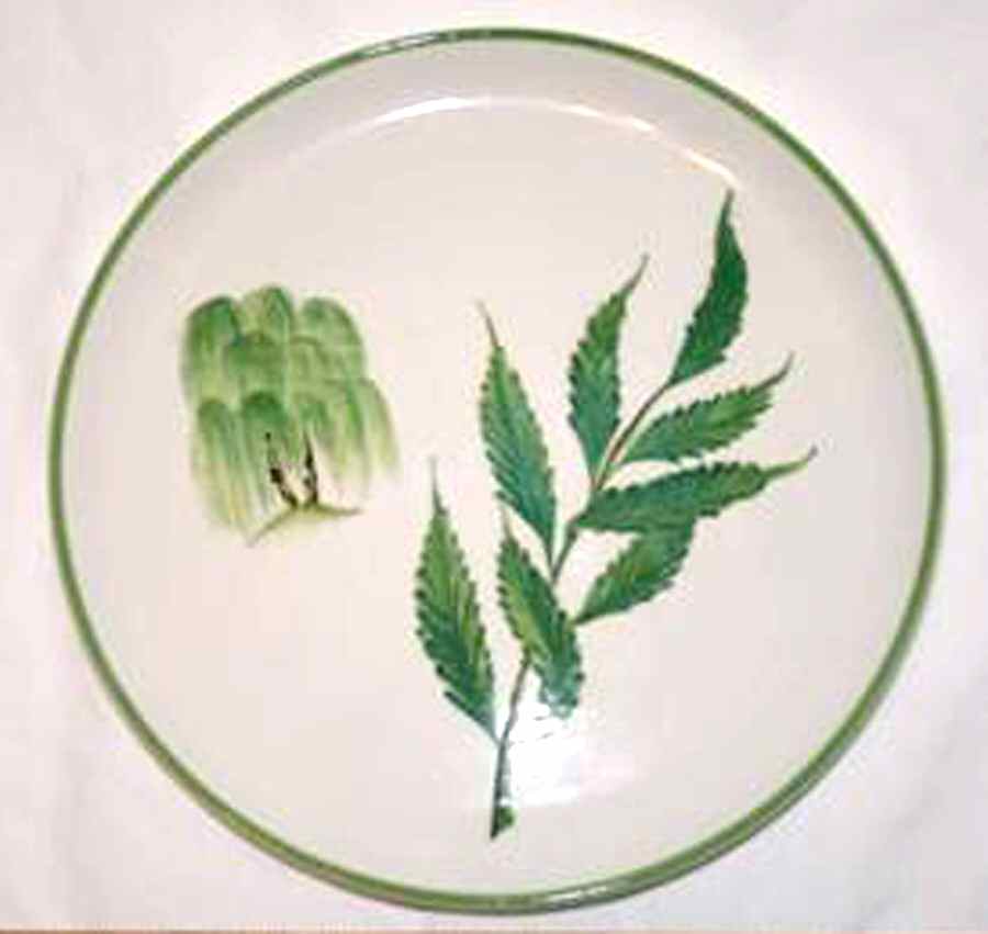 Y122 Dinner Plate by Italy-1