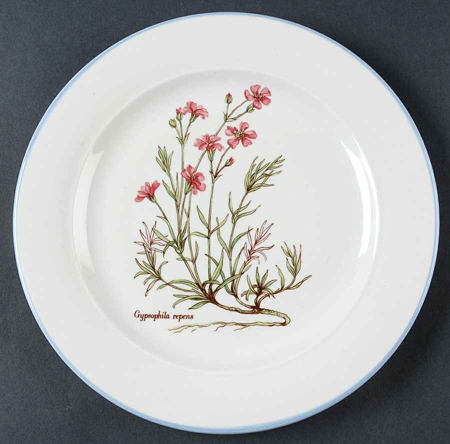 ITY338 Salad Plate by Italy-1
