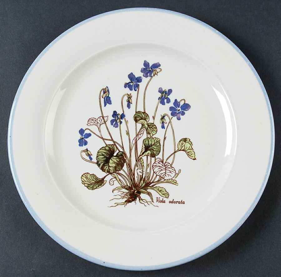 ITY338 Salad Plate by Italy-1