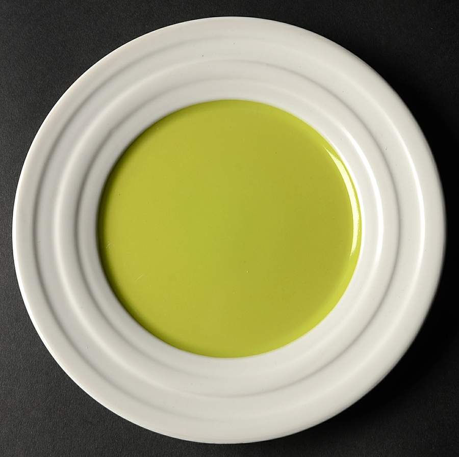Caribbean Color Kiwi (Green) Salad Plate by Isaac Mizrahi-1