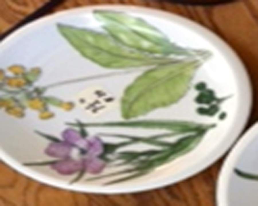 Midsommar Salad Plate by Ikea China-1