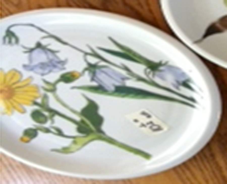 Midsommar Dinner Plate by Ikea China-1