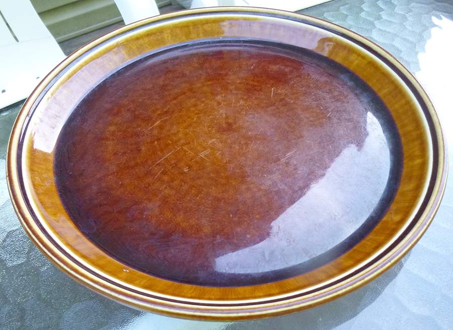 Primaries Brown Dinner Plate by Iroquois-1