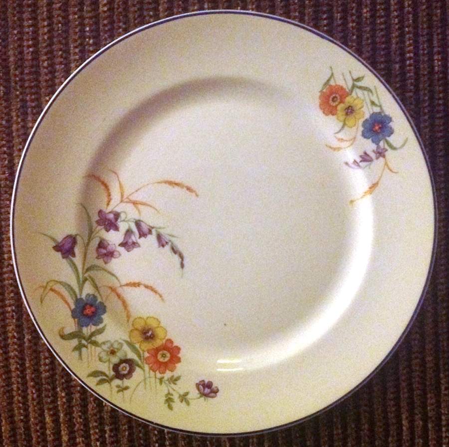 ILL24 Dinner Plate by Illinois China -1