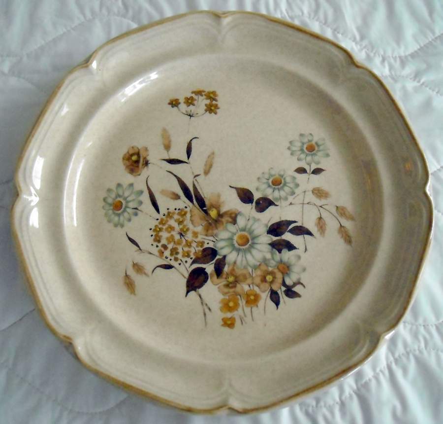 Ellesmere Dinner Plate by International-1
