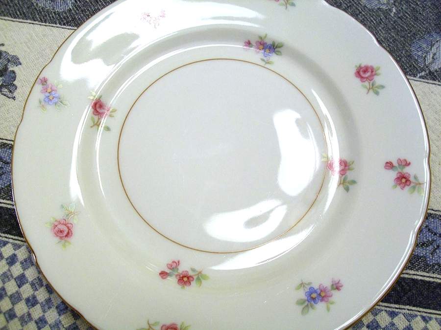 IMB38 Dinner Plate by Imperial Bohemian-1