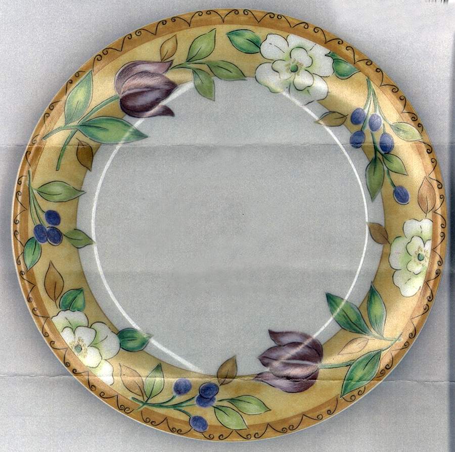IEC21 Salad Plate by Inhesion-1