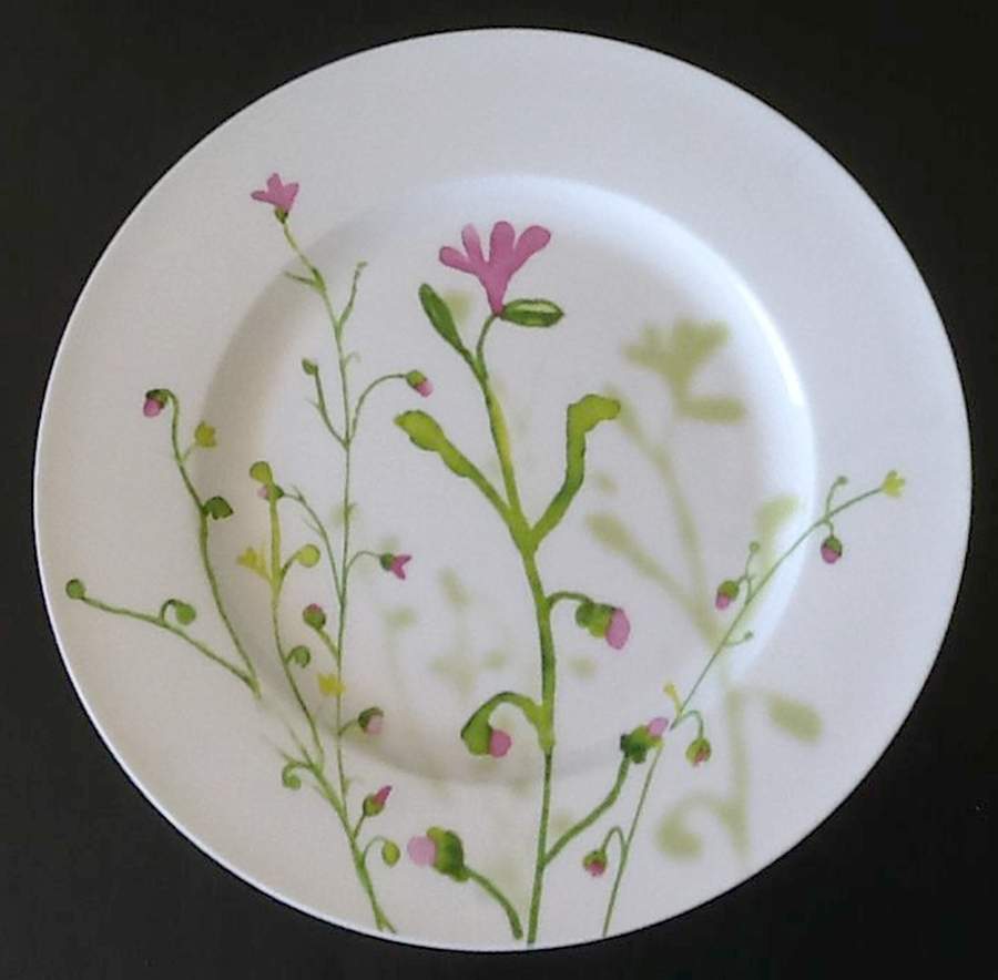IEC23 Dinner Plate by Inhesion-1