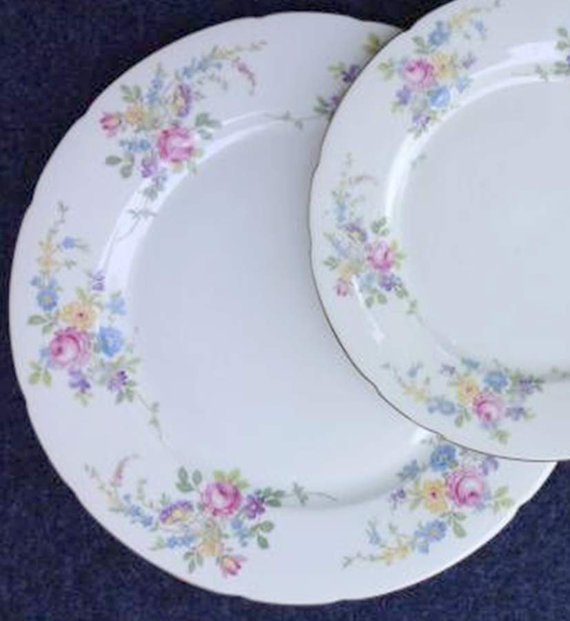 IMB39 Dinner Plate by Imperial Bohemian-1
