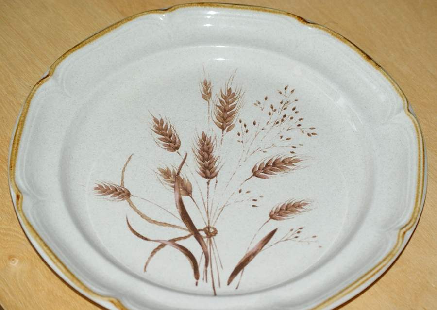Bounty Dinner Plate by International-1