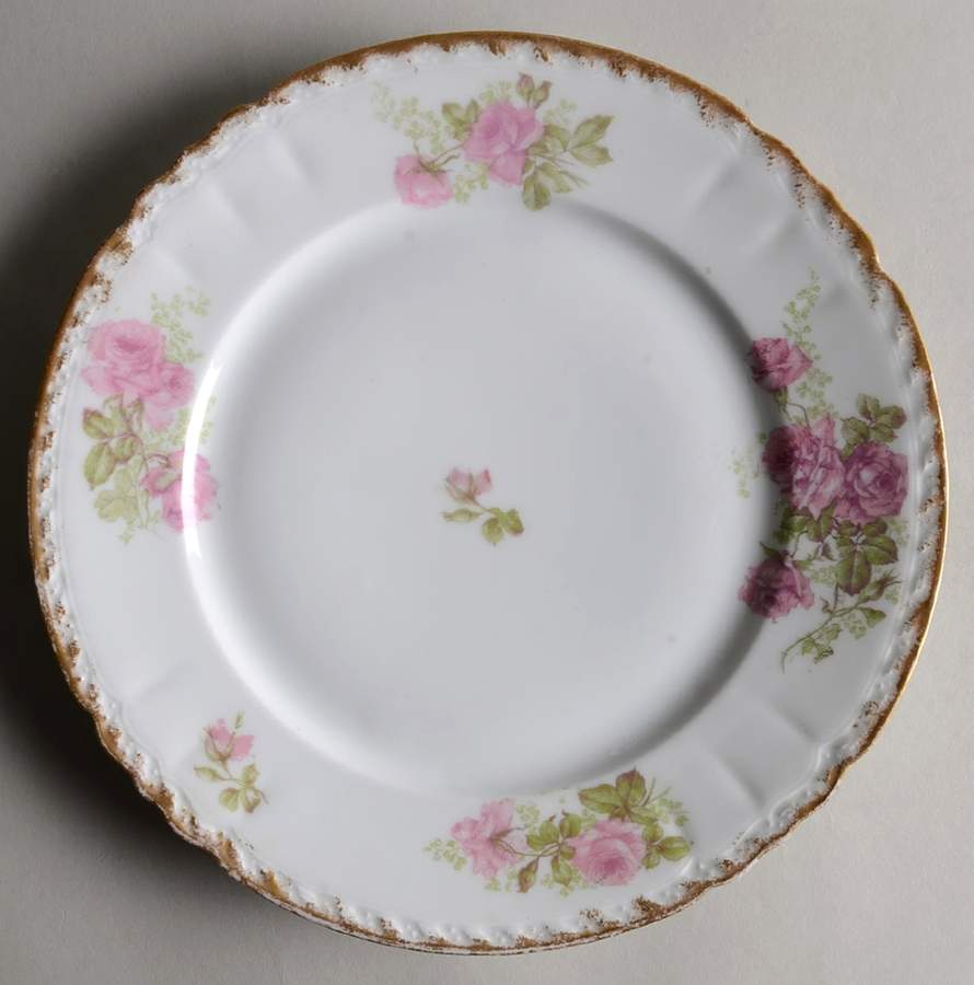 ILI3 Dinner Plate by Imperial Limoges-1