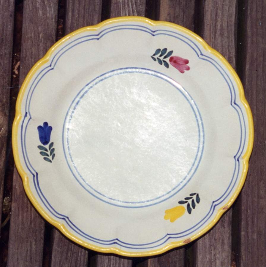 ITY416 Dinner Plate by Italy-1