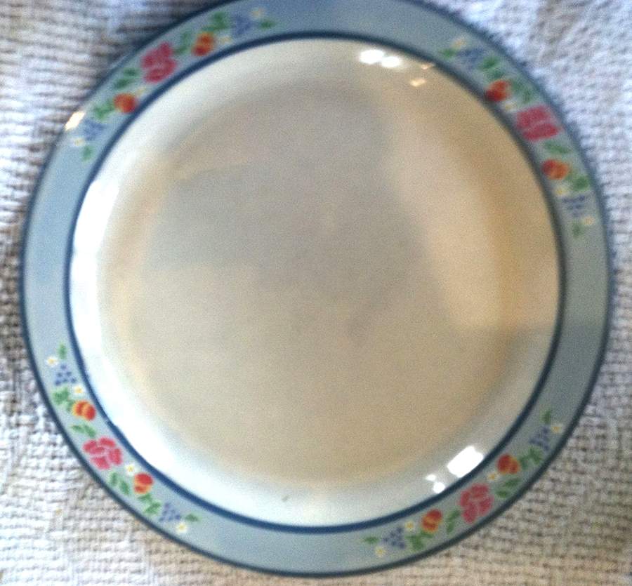 Blue Frost Dinner Plate by International-1